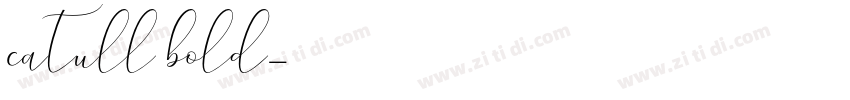 catull bold字体转换